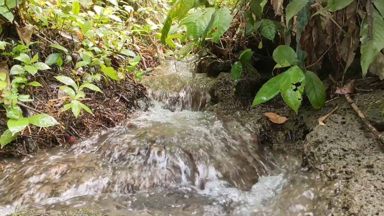 Healing River Ambience – Calm River Sounds with White Noise for Stress Relief