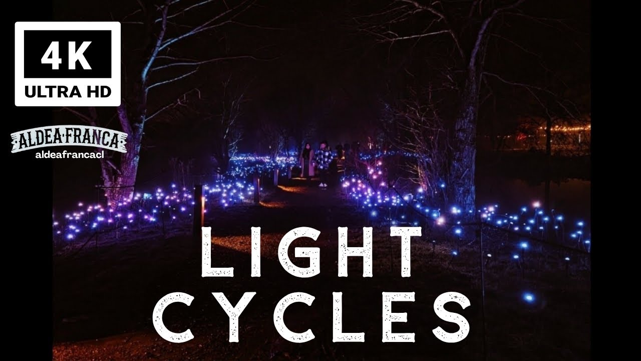 ✨ Immersed in the Magic of Light Cycles