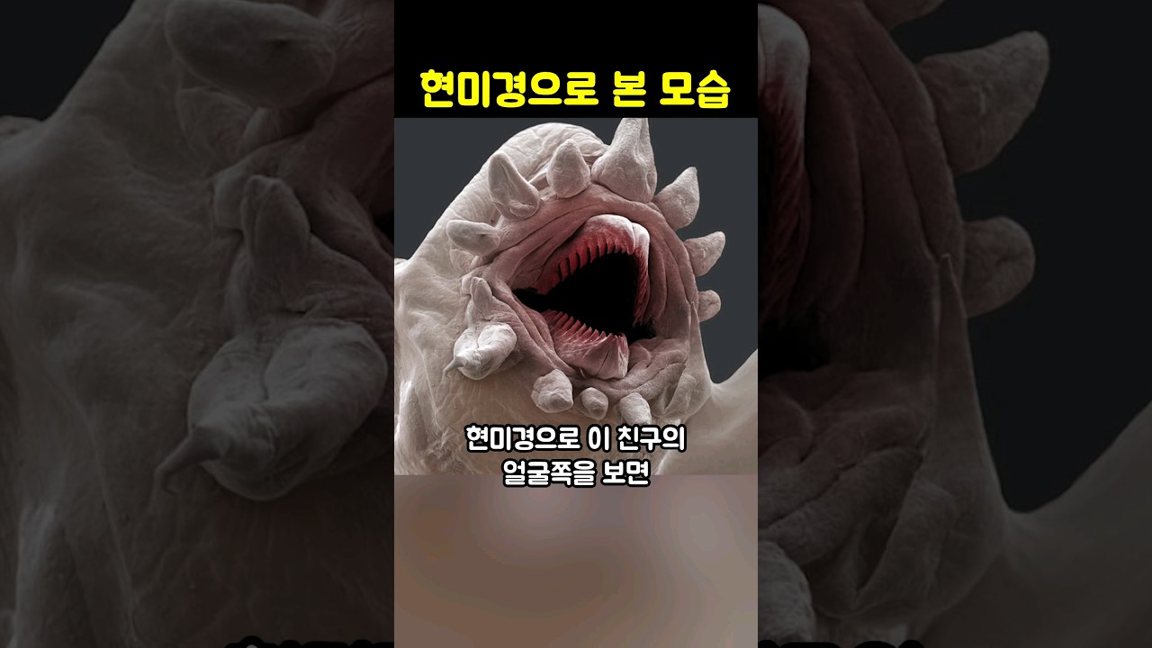 현미경으로 본 신기한 모습들