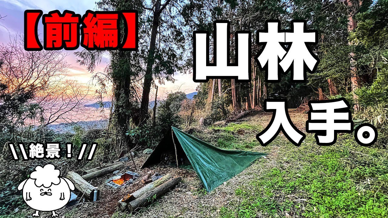 ソロキャンプ用の山林を入手しました【タープ泊・前編】