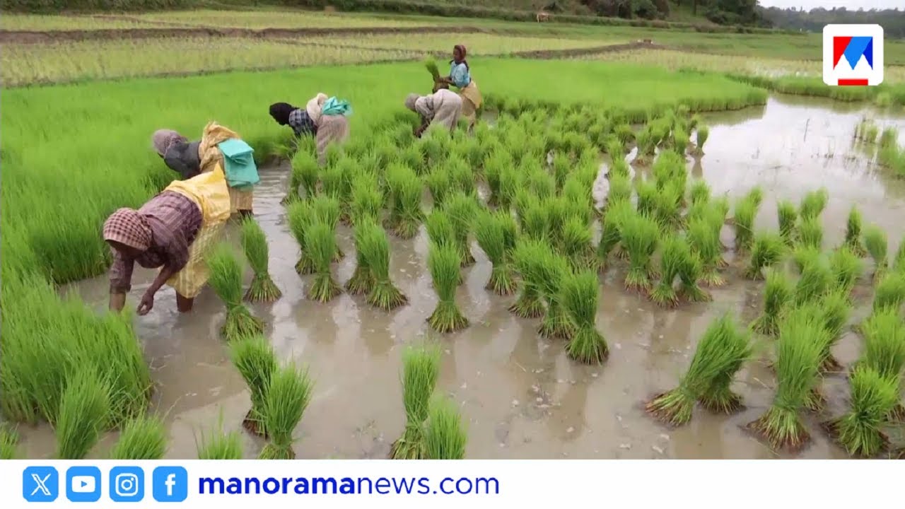 വയനാട്ടിലേക്കുള്ള ചുരമില്ലാപാത പ്രതീക്ഷയുടെ മറ്റൊരു ഘട്ടത്തിലേക്ക്;GPS സര്‍വേ ഇന്ന് തുടങ്ങും|Wayanad
