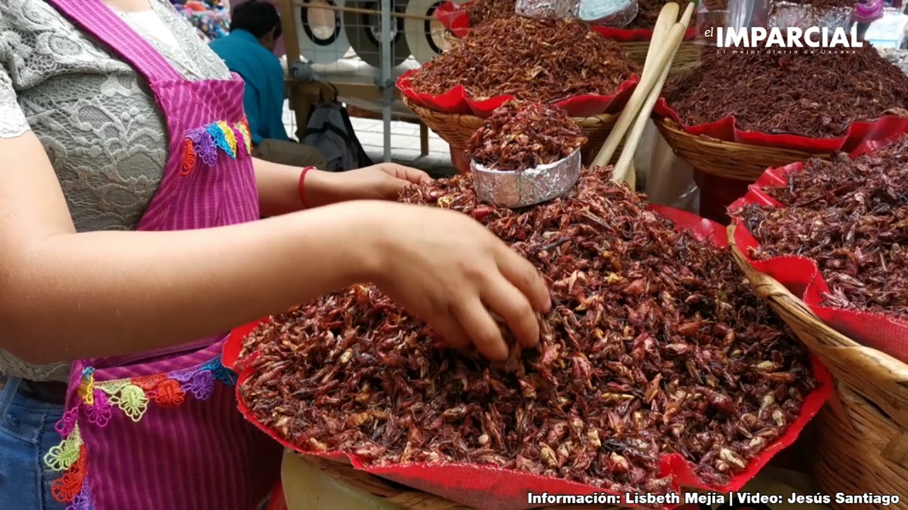 Chapulines del Mercado 20 de Noviembre