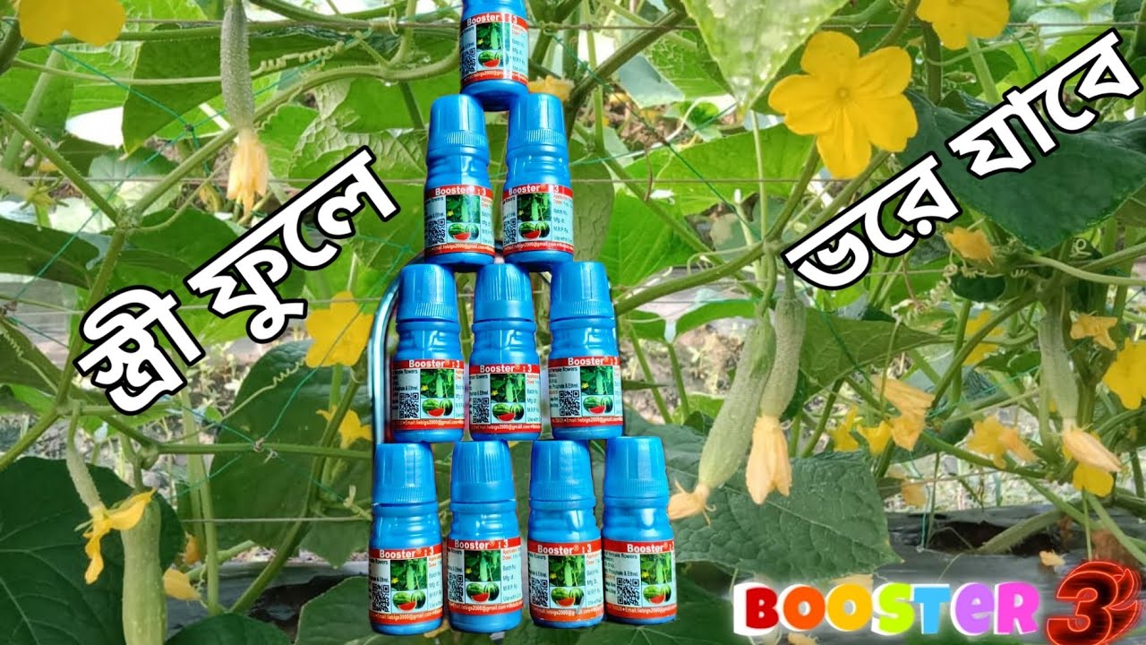 Booster 3 কখন ,কীভাবে, কেন ব্যবহার করবেন ?বুস্টার ৩ এর কাজ কী ? Liebigs .