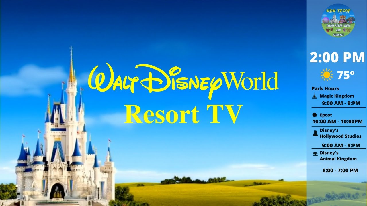 WDW Today Channel - Resort TV - Walt Disney World - TESTING NEW LOOPS AND WAIT TIMES