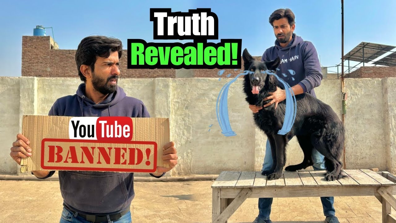 YouTube Or Dayne Ka Mustakbil Khatam 😭 