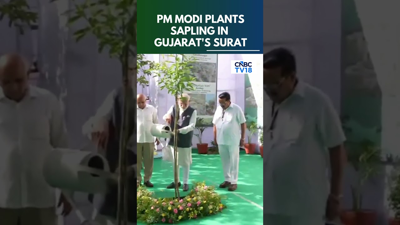 WATCH: PM Modi Plants Sapling In Surat To Mark World Environment Day | N18S