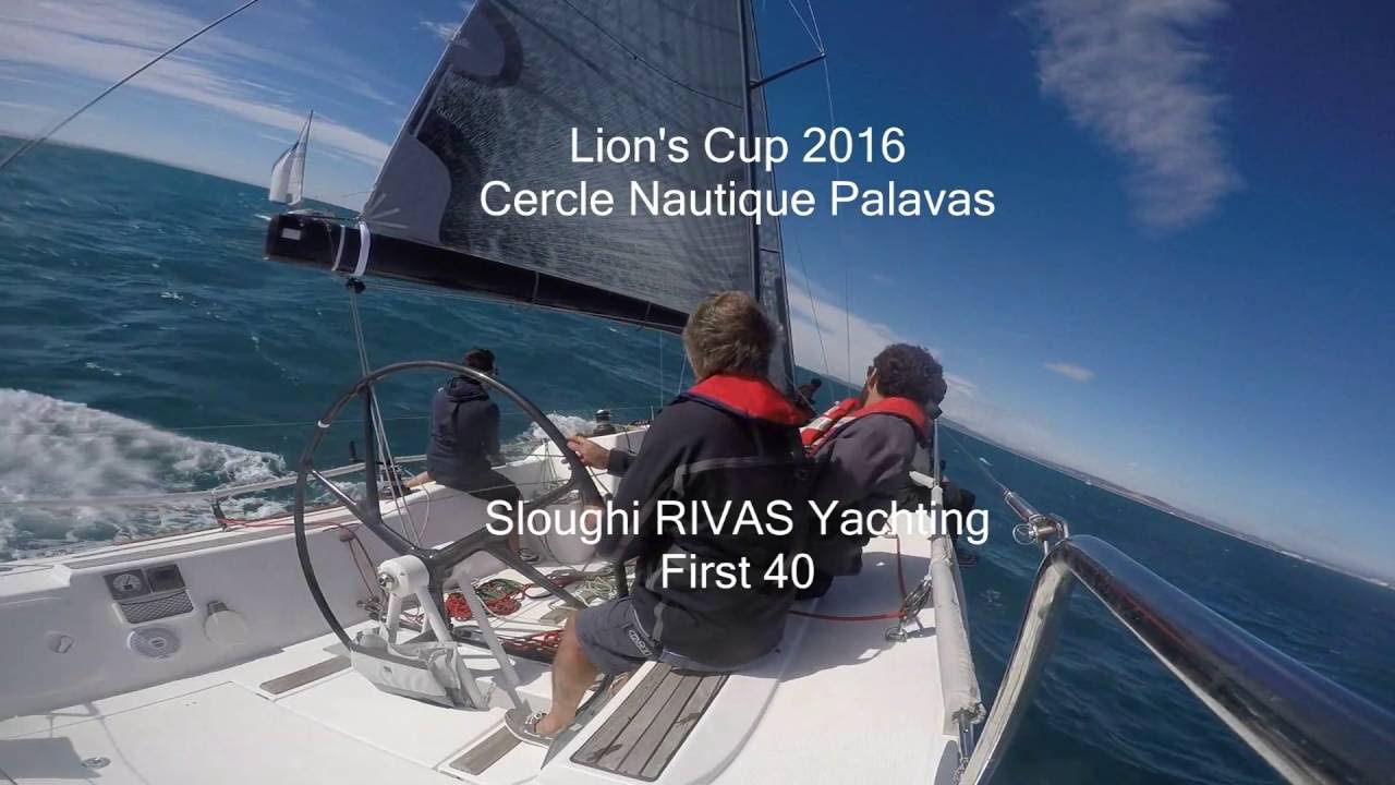 Lion's cup 2016
