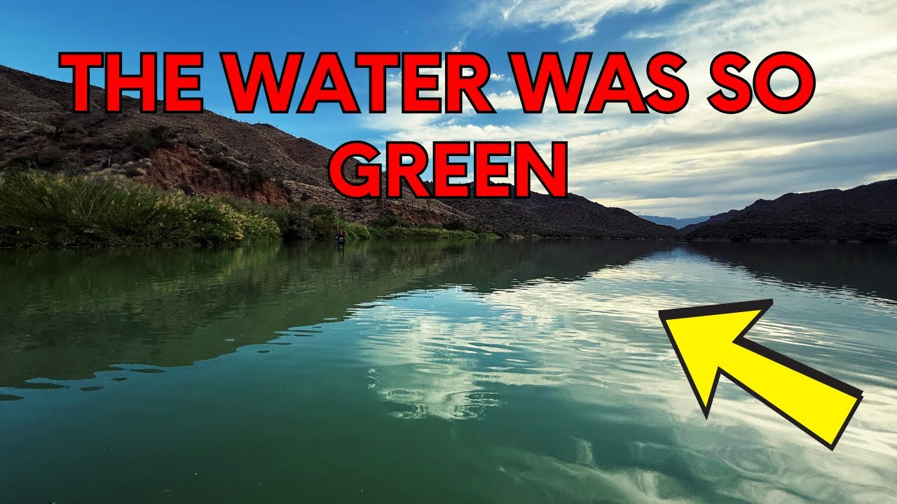 My favorite lake in Arizona had a HORRIBLE algae bloom 