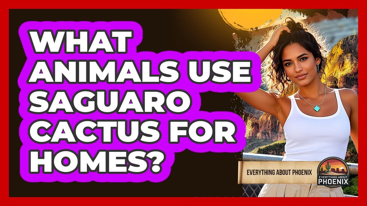 What Animals Use Saguaro Cactus For Homes?