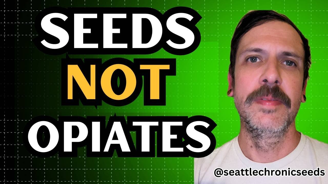 Breaking Free: Seattle Chronic Seeds' Journey from Pharmaceuticals to Cannabis