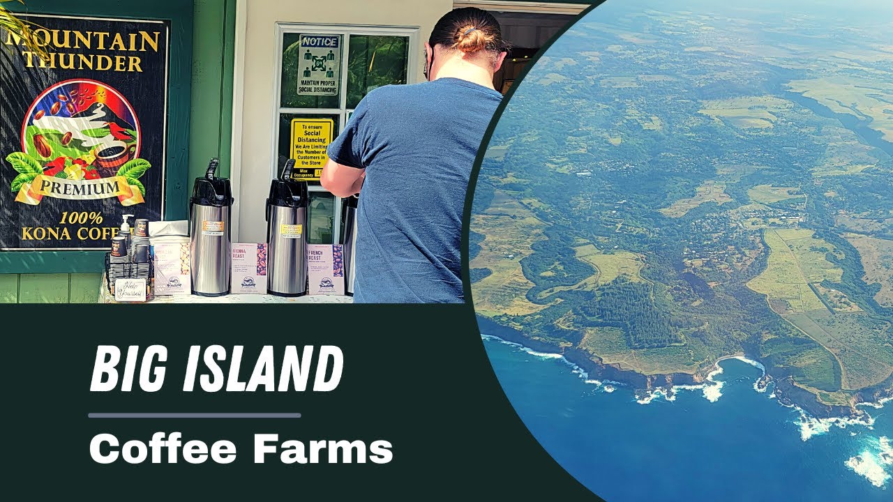 Discover the Art of Coffee: An Adventure to the Kona Coffee Farms in Hawaii