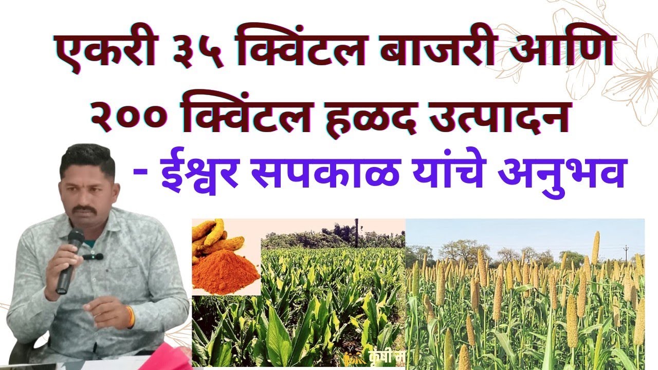 एकरी ३५ क्विंटल बाजरी आणि २०० क्विंटल हळद उत्पादन- ईश्वर सपकाळ यांचे अनुभव