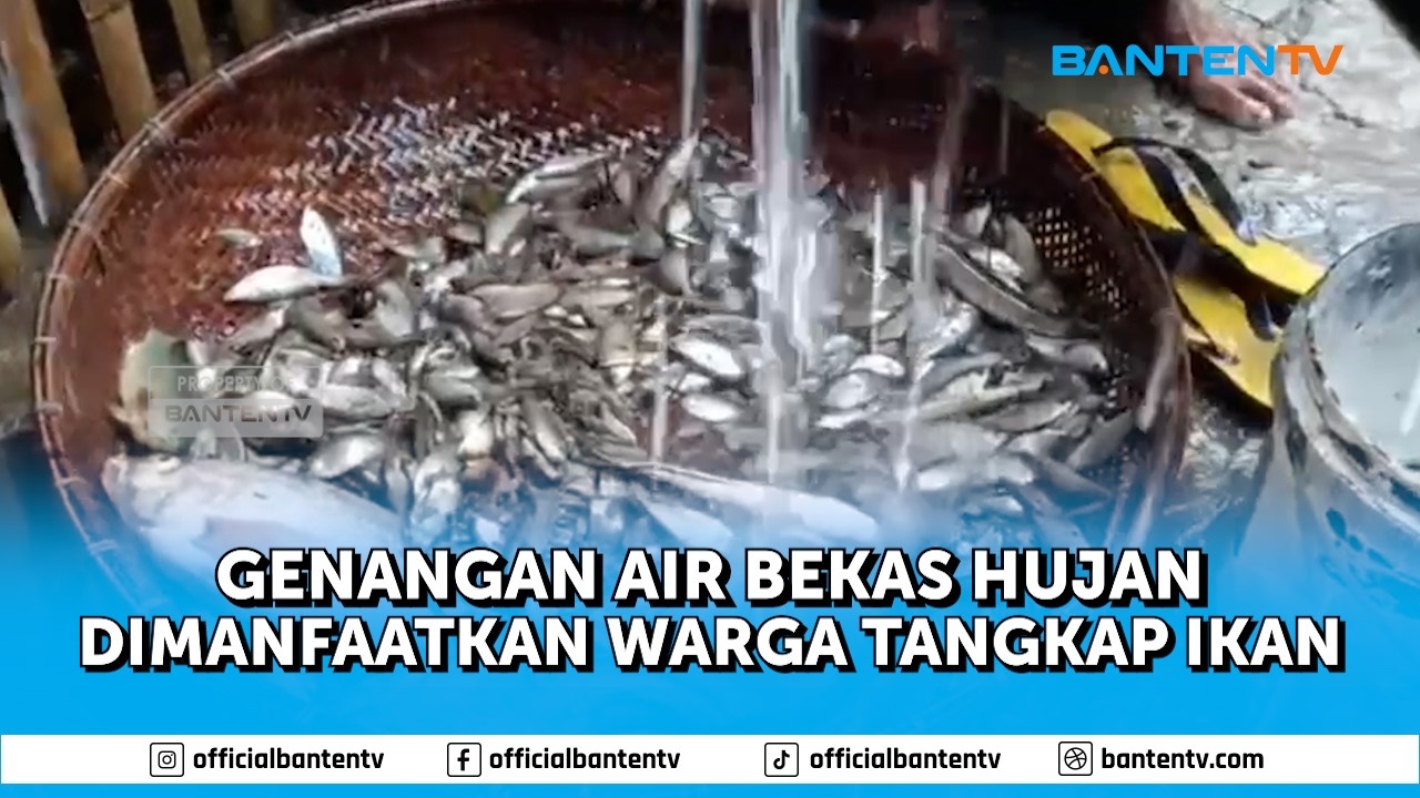 GENANGAN AIR BEKAS HUJAN DIMANFAATKAN WARGA TANGKAP IKAN