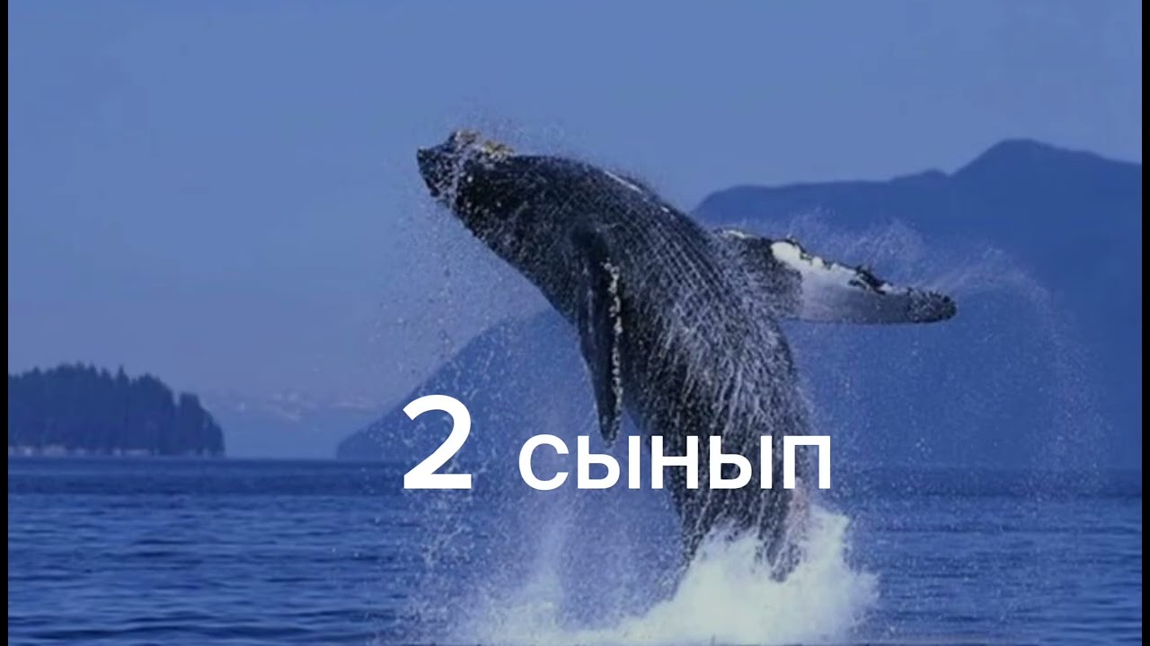 Диктант 2 сынып #диктант #2сынып #онлайншкола