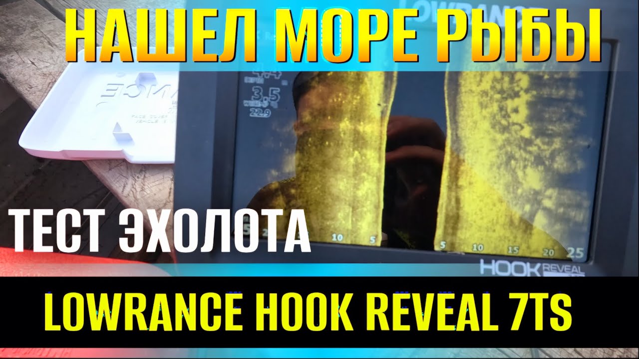 Нашел много рыбы с эхолотом LOWRANCE HOOK REVEAL 7 TS Первый сазан 2024 на жмых Ахтуба Астрахань.