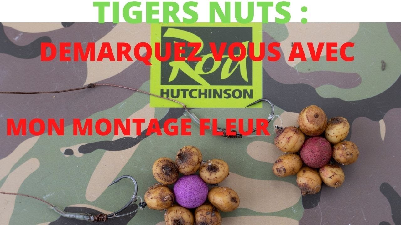 le montage fleur : peche de la carpe presentation avec des tigers nuts