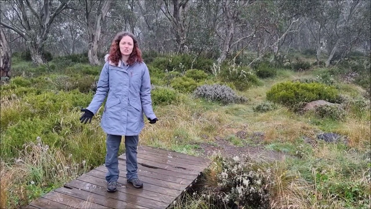 What to wear when visiting the alpine environment