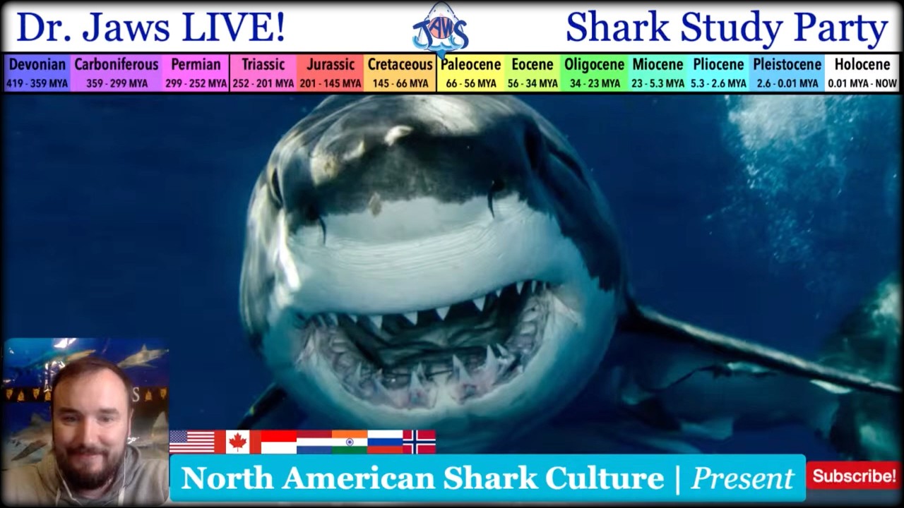 Dr. Jaws LIVE! #155 North American Shark Culture Special Pt. 2