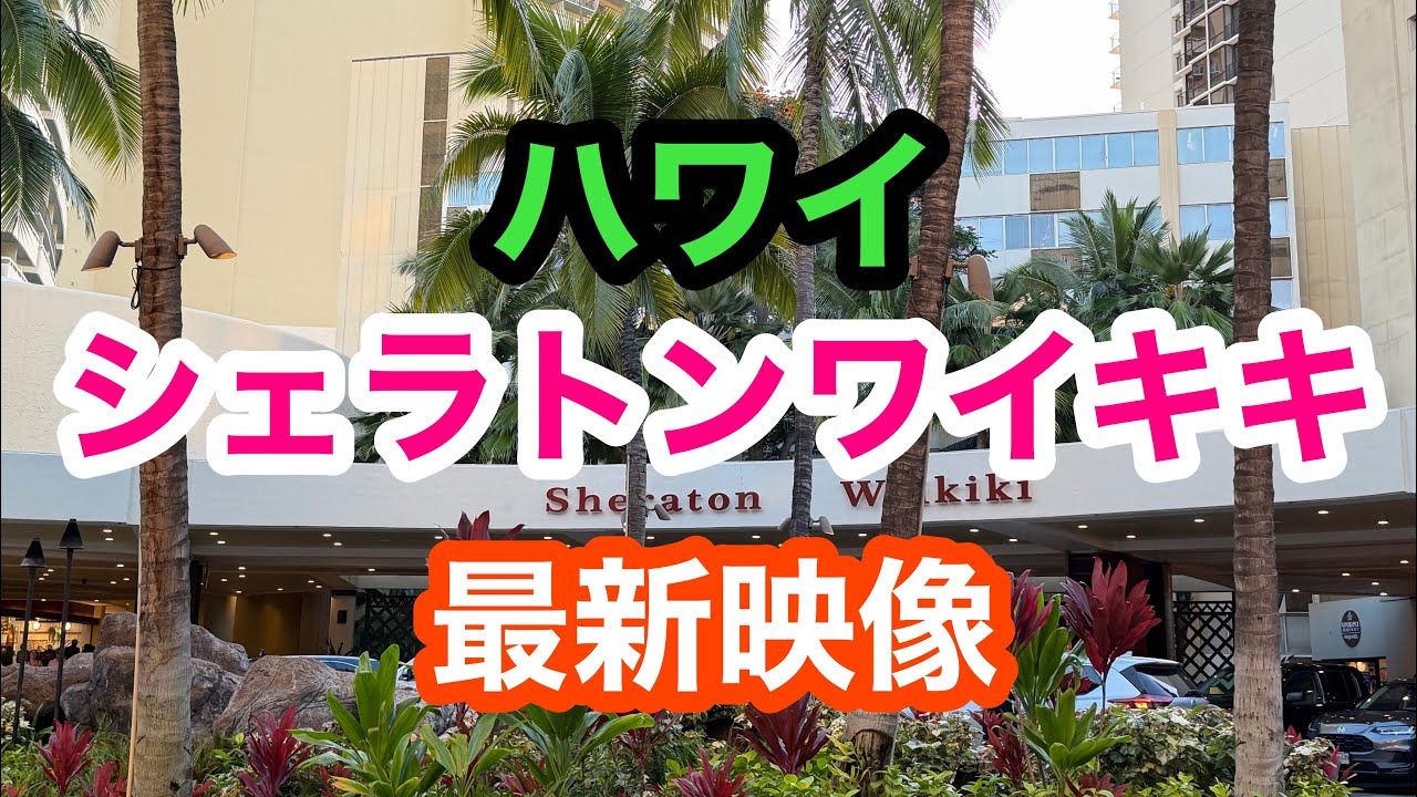 ハワイ　シェラトンワイキキ最新映像2026