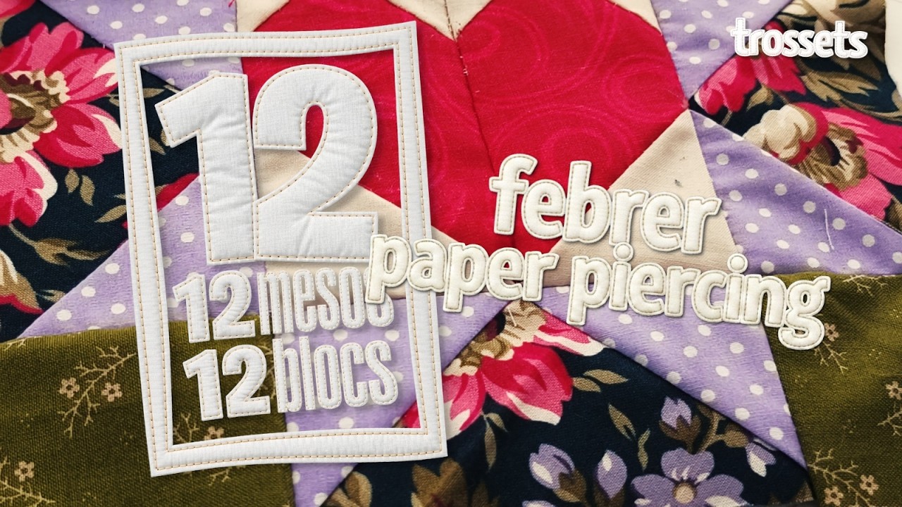 12mesos 12 blocs Febrer