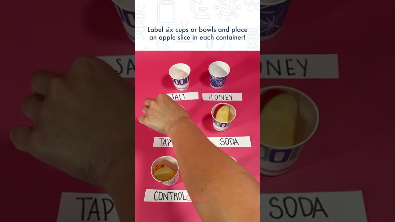 Prevent Apples From Browning Experiment | Science for Kids | STEM for Kids