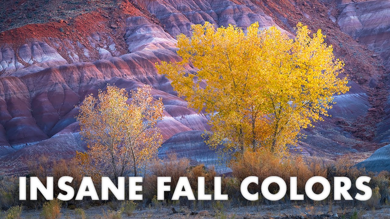 Photographing INSANE Fall Colors in Utah - ENTIRE WORKFLOW