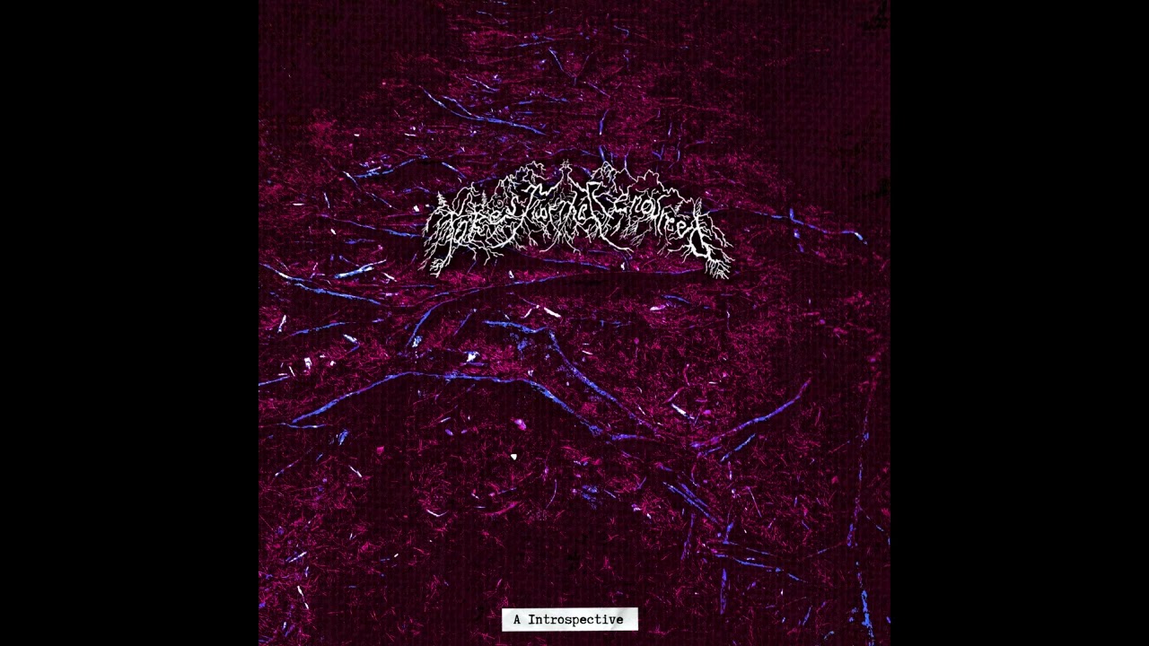 Forest of the Renounced - A Introspective (DSBM, Depressive Black) (Full Album)