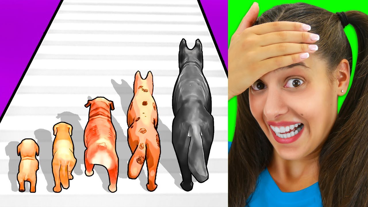 INGRANDISCI IL CANE PER VINCERE - DOG EVOLUTION RUN!