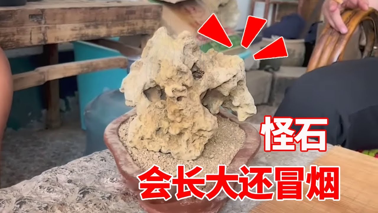 收藏小哥拜访老友，只见怪石周围烟雾缭绕，超出小哥认知范围惊呆小哥