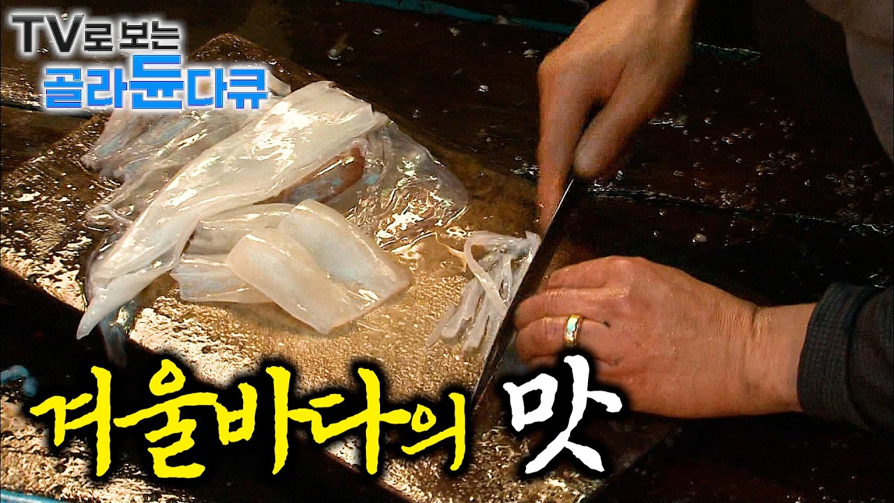 🐟추운만큼 꽉 차오르는 살. 잡자마자 먹는 신선한 겨울 생선의 맛🐟｜겨울 바다의 맛 1시간 몰아보기｜한국기행｜#tv로보는골라듄다큐