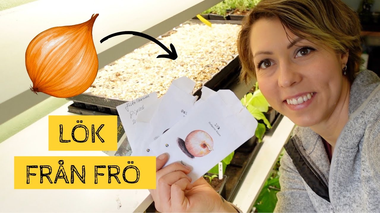 Att lyckas med L&Ouml;K fr&aring;n fr&ouml; - Mina tips och &aring;rets s&aring;dd