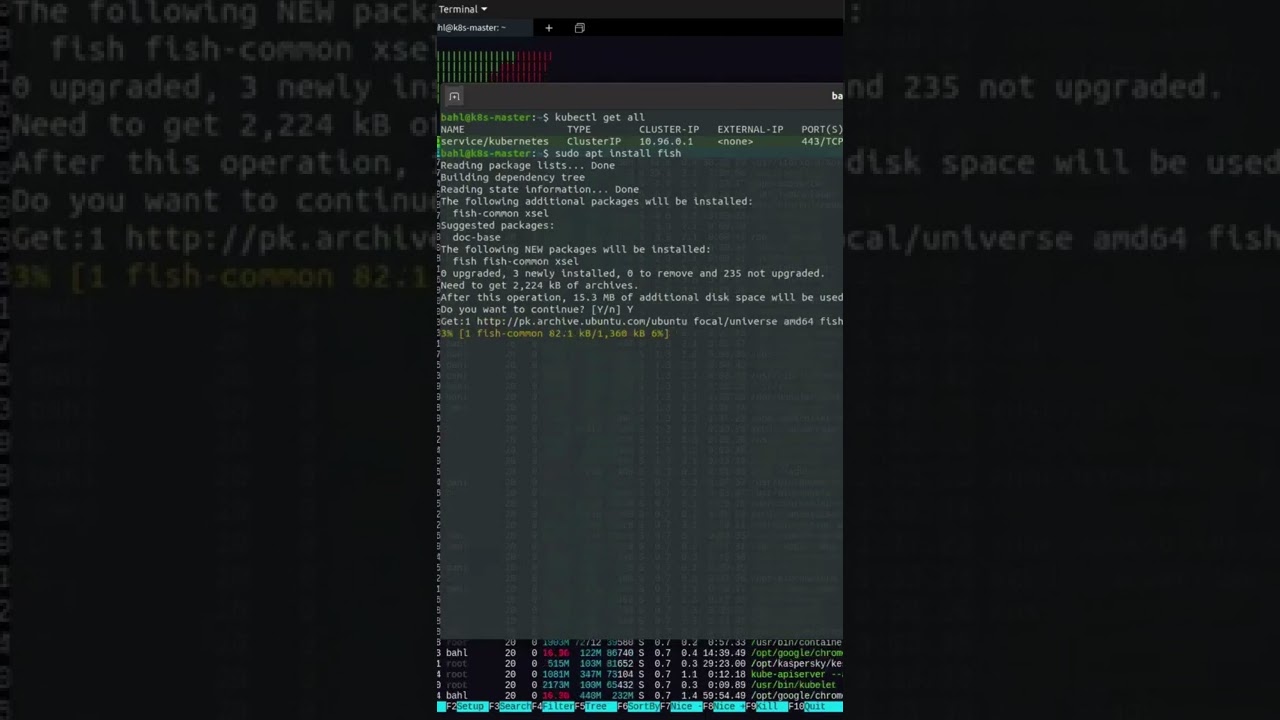 Linux Fish Linux Shorts Tips and Tricks
