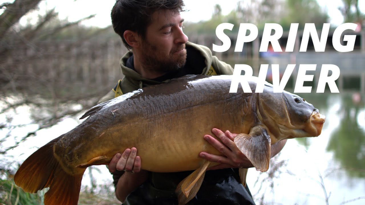 SPRING IN THE RIVER. Carpfishing