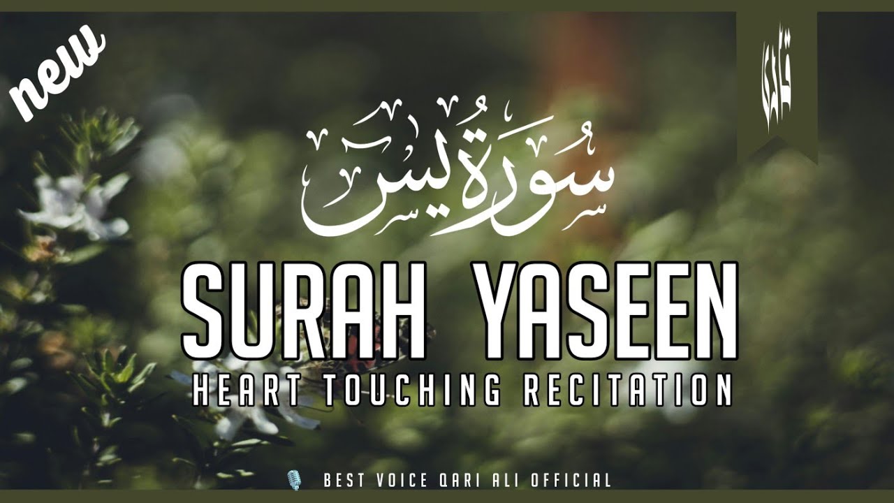Surah Yasin beautiful recitation سورۃ یس (Yaseen) heat soothing Quran voice  | Qari Ali official 