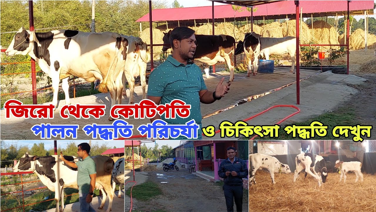জিরো থেকে কোটিপতি | ভিন্ন পদ্ধতি ভিন্ন পরিচর্যা ভিন্ন রকম চিকিৎসা দিয়ে বর্তমানে আমার এমন অবস্থা..