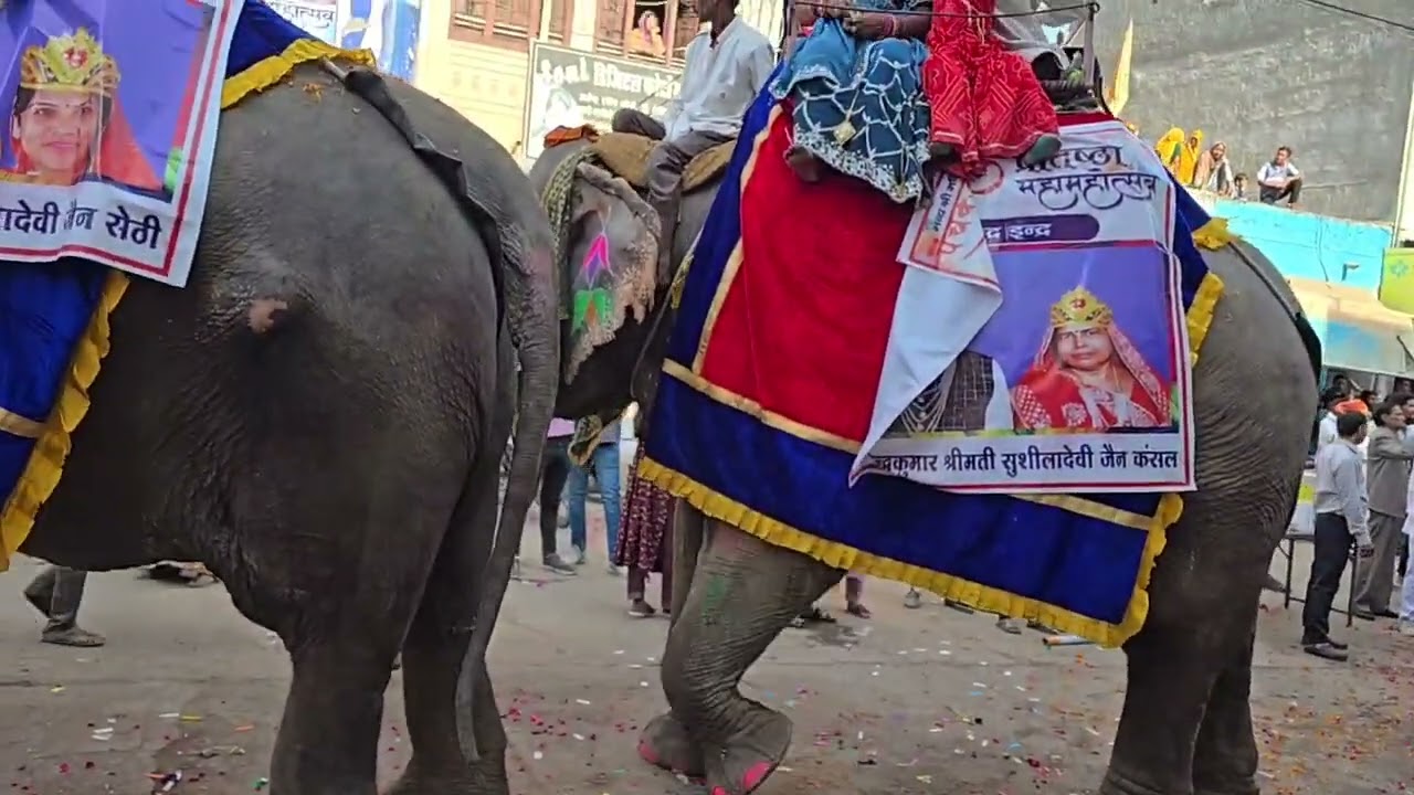 पंचकल्याणक महोत्सव के निमित्त बरवाड़ा में 300 साल बाद 20 हाथियों के साथ ऐतिहासिक भव्य जुलूस
