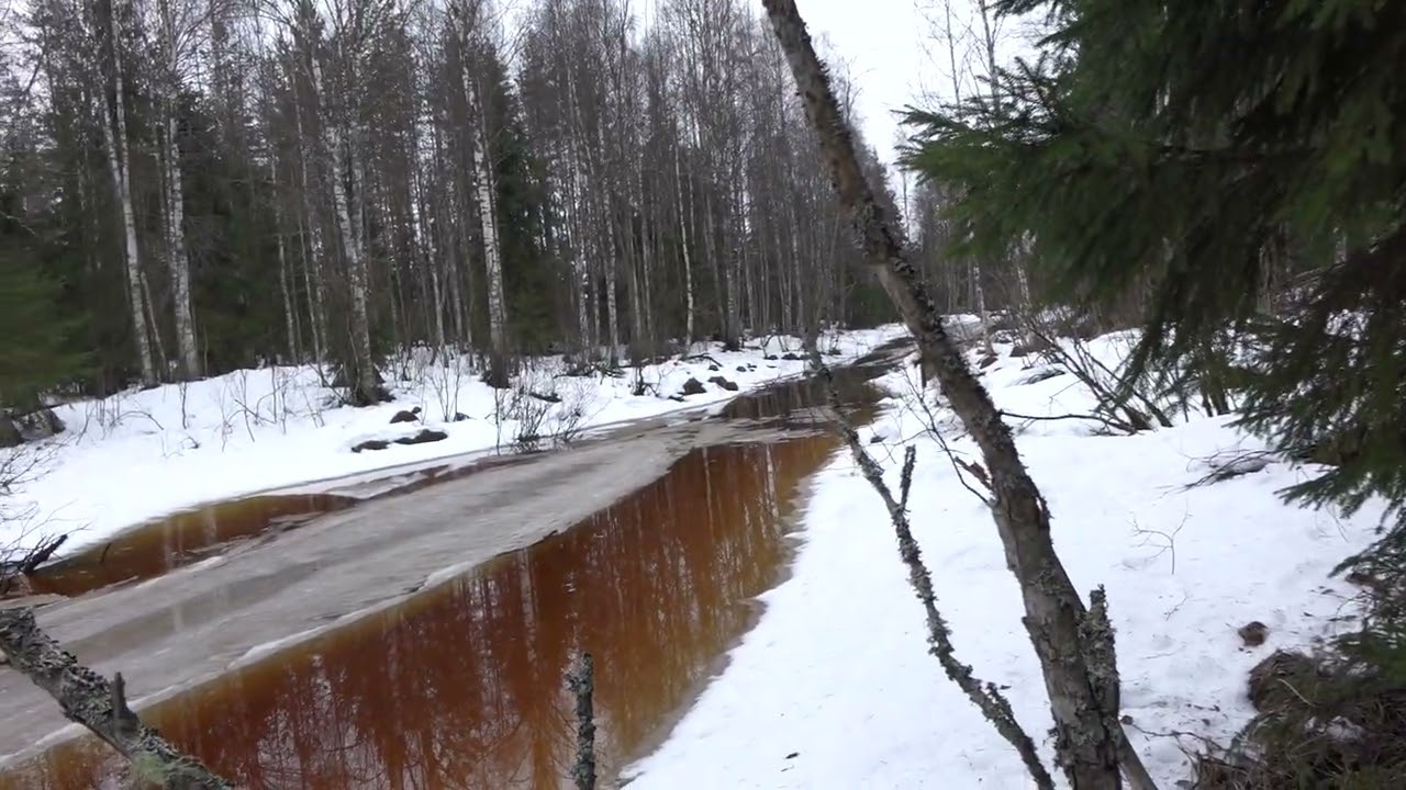 Majava paikka 2