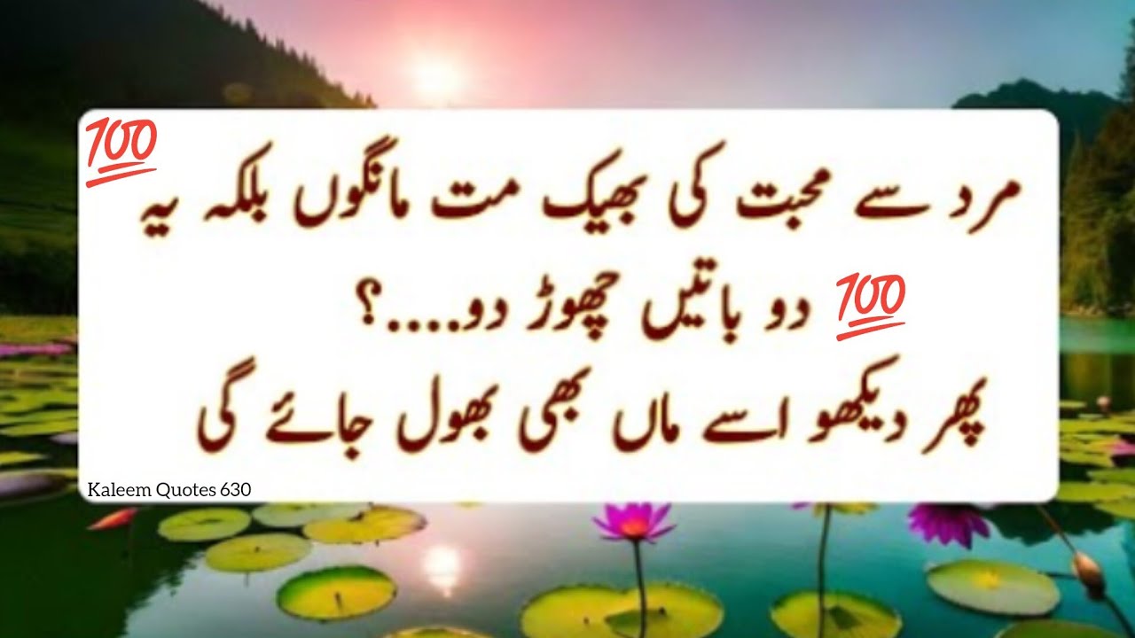 Kaleem Quotes 630 l Best Aslami Quotes l Best Quotes l Urdu Aslami Quotes 🤲🤲