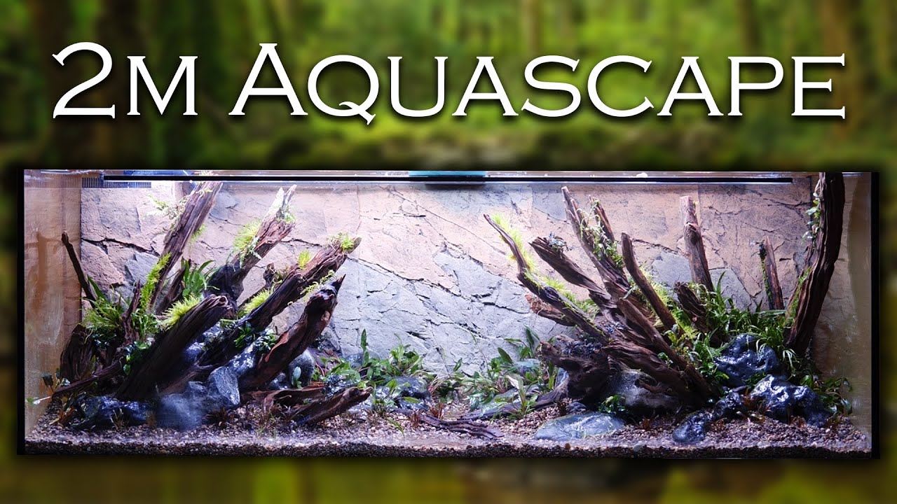 Hakkai Stones für 1600 Euro - 2 Meter Aquascape in Köln | Aquado-Zoo Dortmund