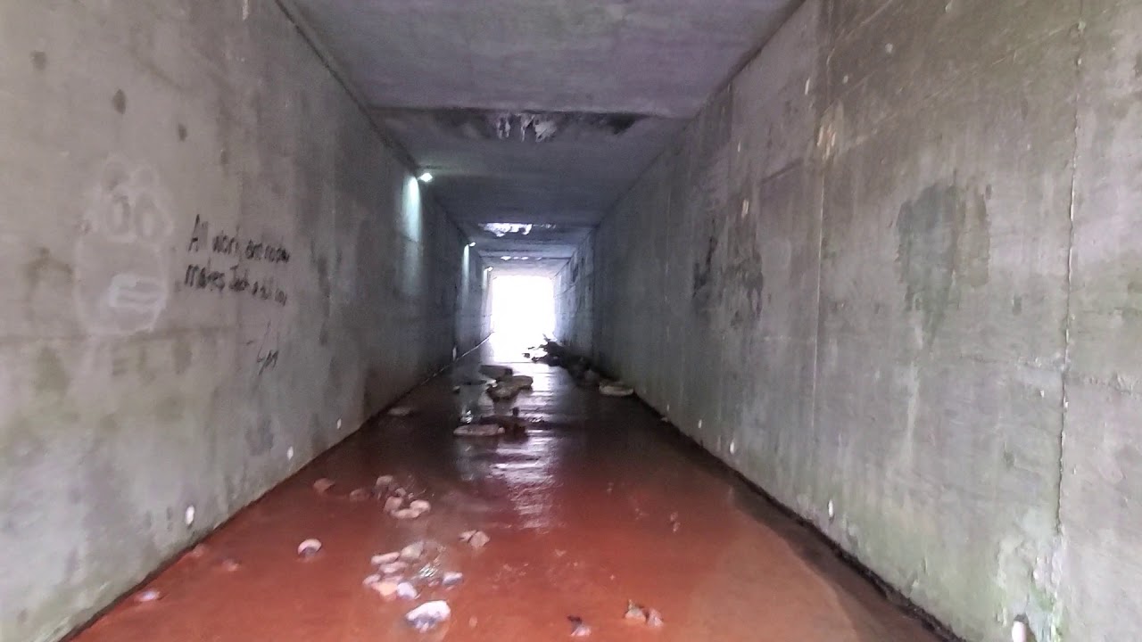 Hidden Tunnel at Pigeon Forge's Island 🎡