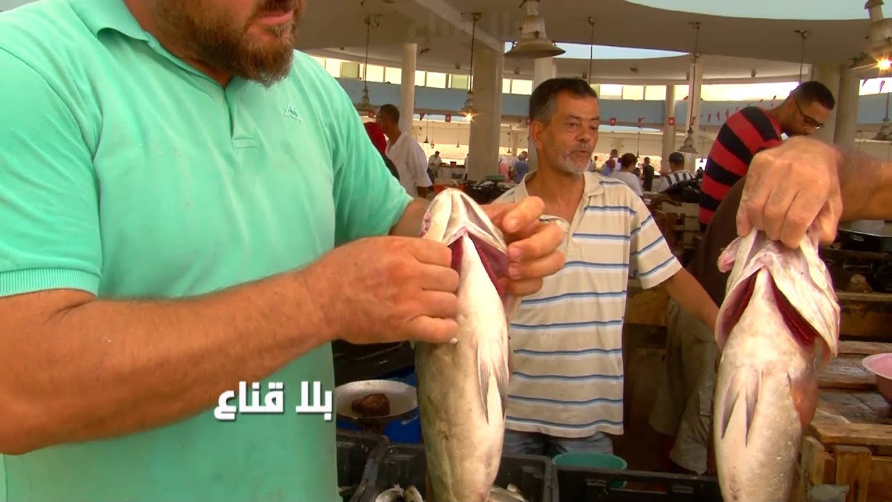 حوت فرشك في سوق الحوت بأرخص الأسعار..الصبارص ب5دينارات فقط والسلعة بلار من المنتج للمستهلك !!
