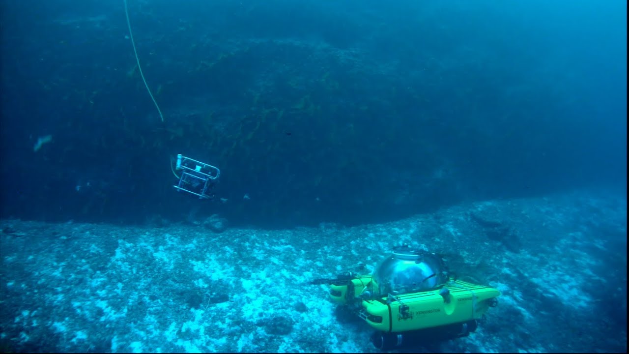 ROV SUPPORT for the NEKTON Mission: First Descent Seychelles (March-April 2019) #seychelles #NEKTON