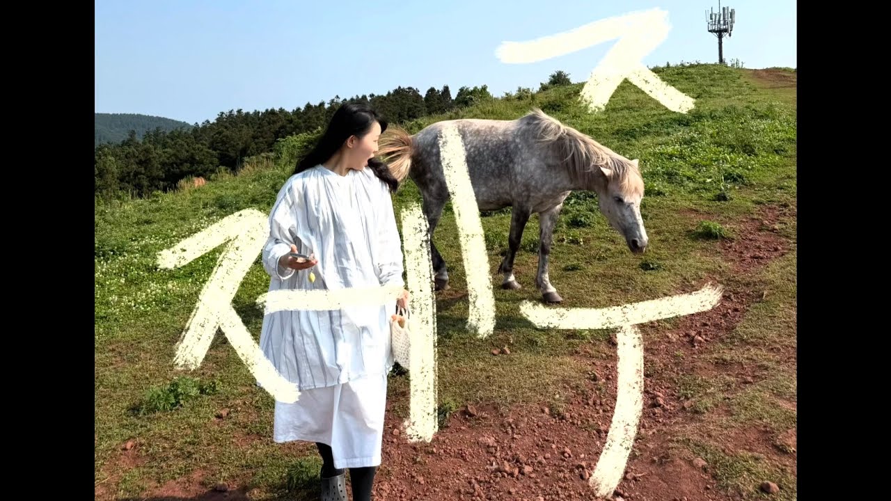 🐴 🥞제주도민과 제주, 이게 찐 제주도 여행이지~! |🗓️202505 제주 여행 기록