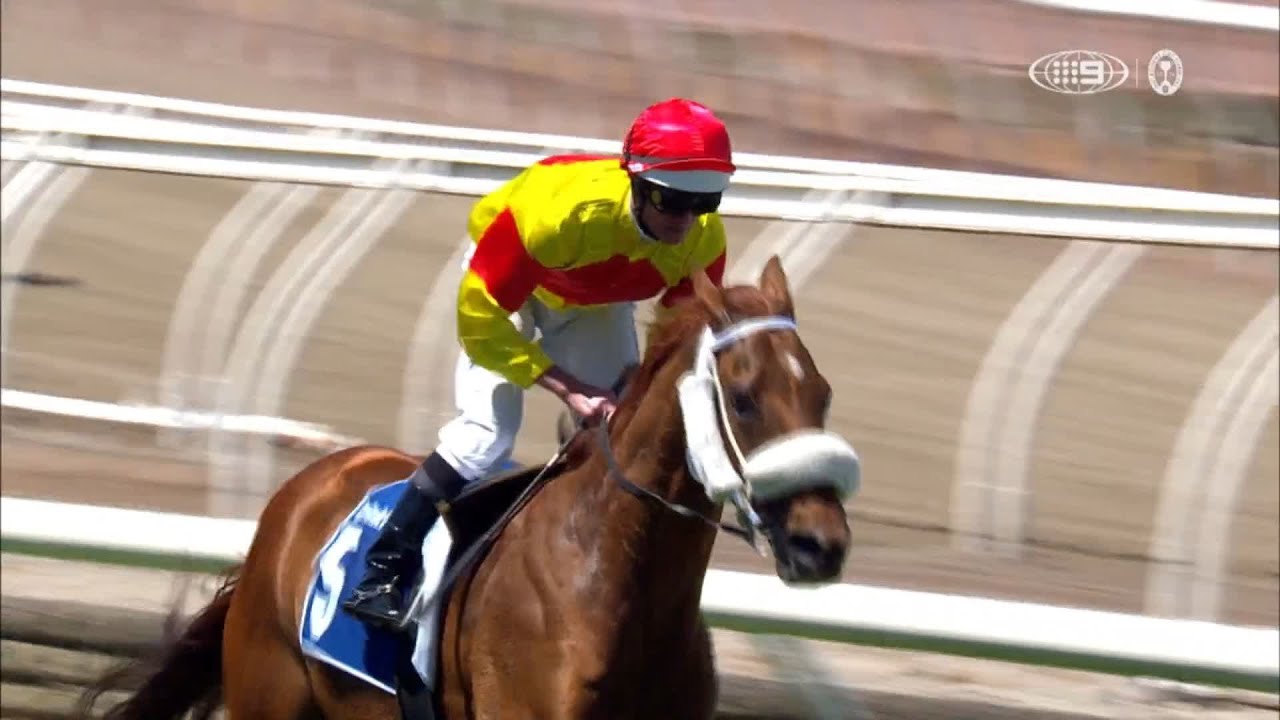 Arran Bay &ndash; Furphy Plate &ndash; Lexus Melbourne Cup Day, Race 6