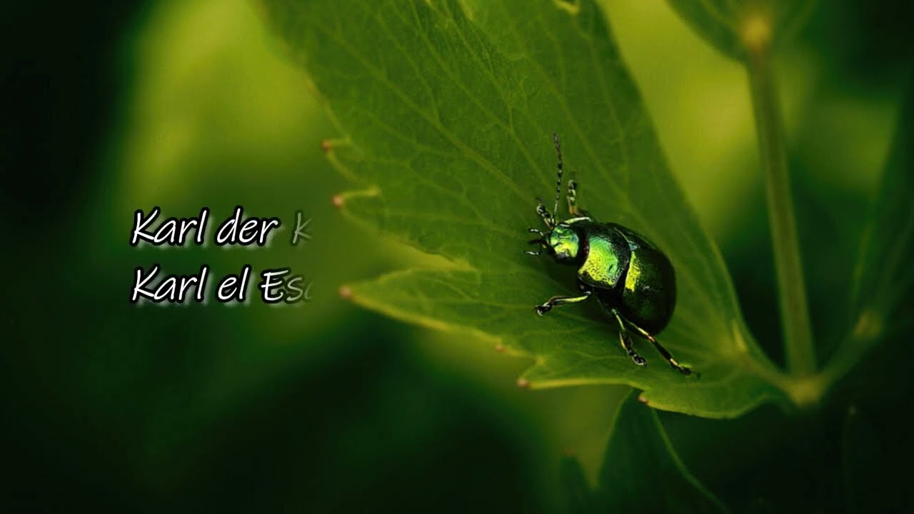 Welle: Erdball ❀ Karl der Käfer ❀ Sub Español & Lyrics
