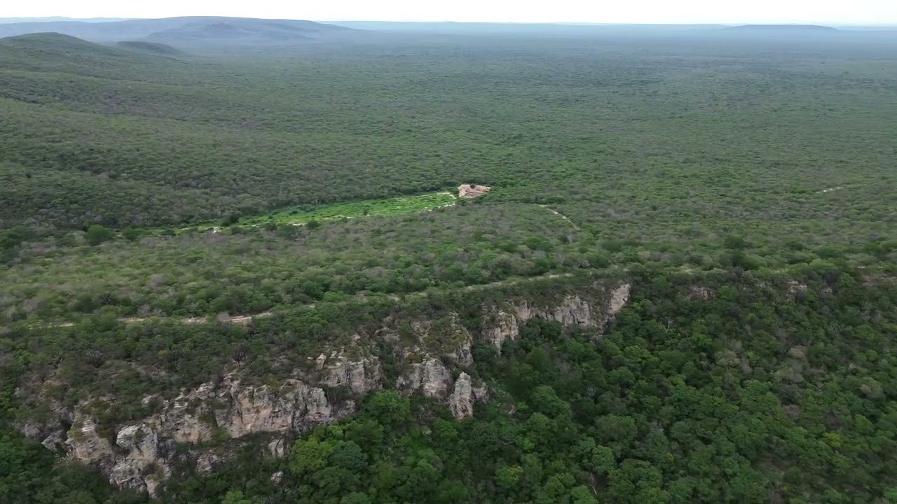 DJI 0153