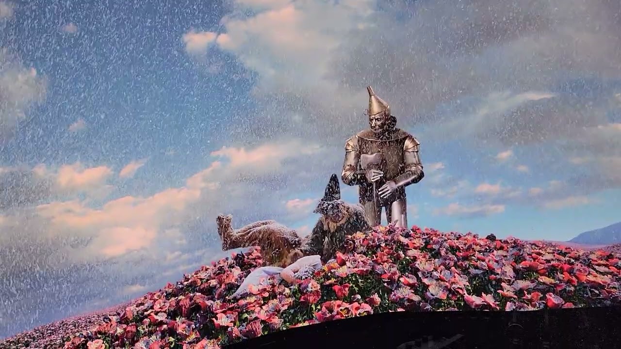 Wizard of oz poppies sphere 