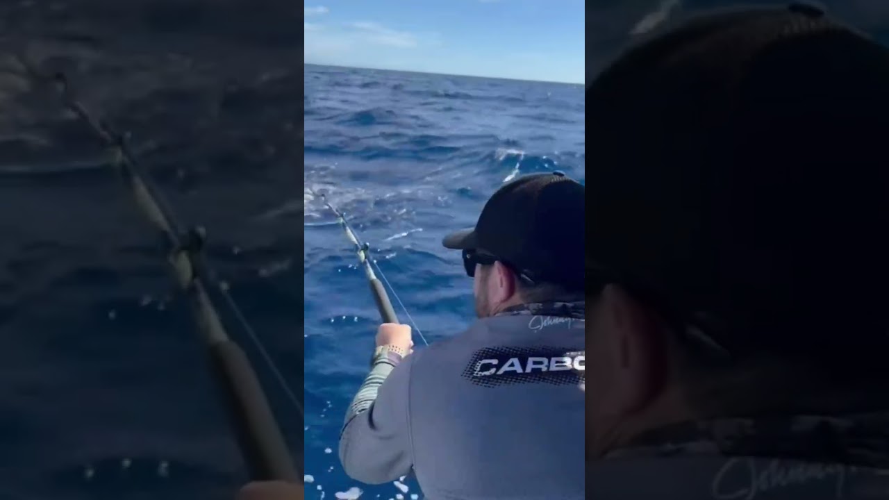 Deep see fishing in Acapulco, Mexico.(Selfish and mahi mahi). 🇲🇽 🇲🇽🇲🇽🐠🐠🐠