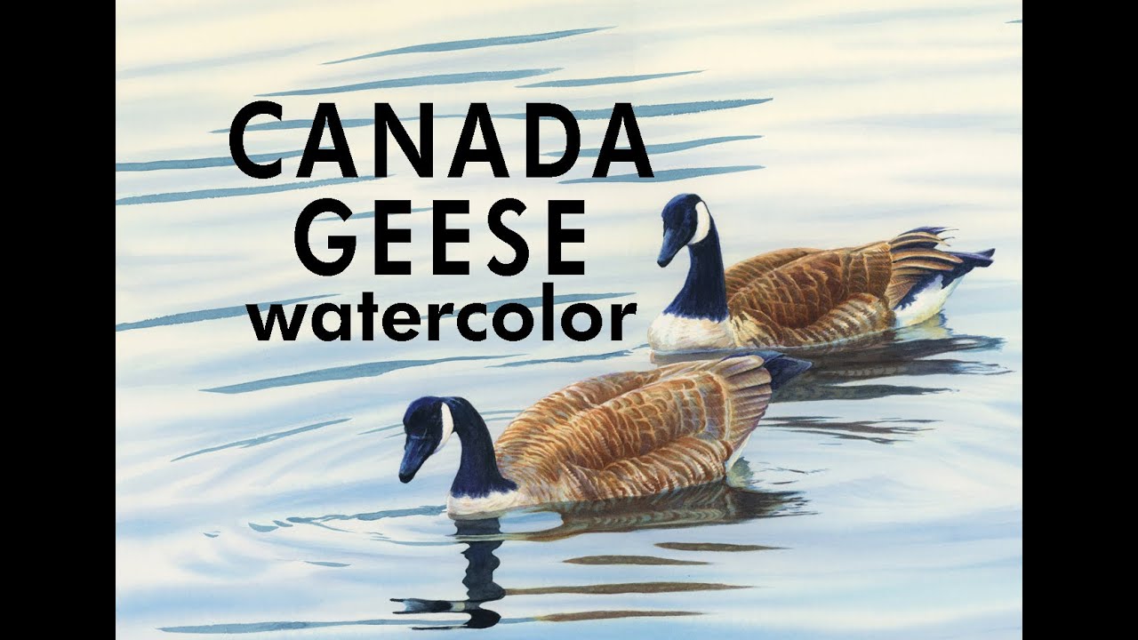 Painting Canada Geese in Watercolor - 