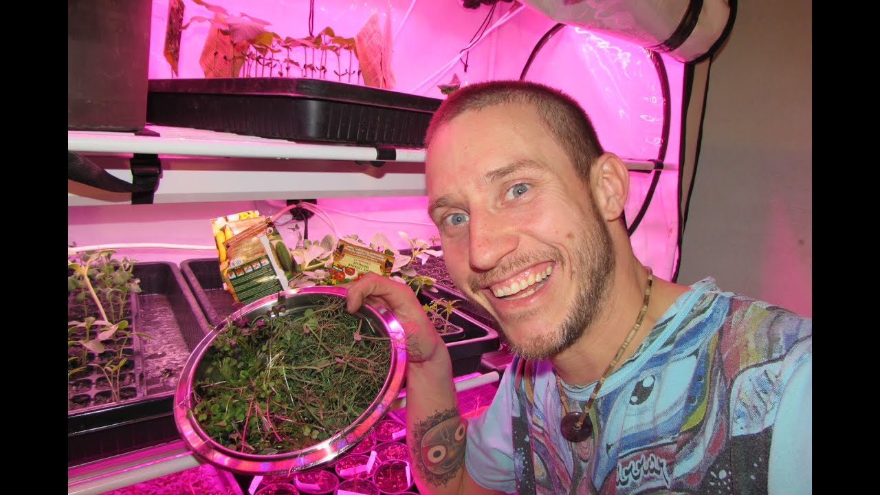 Nejlepší Medium na klíčení semínek? + Popis grow boxu na sazenice (Sezóna 2020)